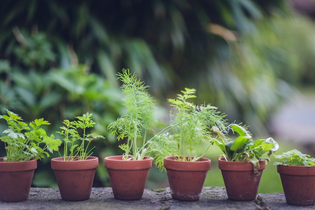 découvrez des conseils pratiques, astuces et idées pour le jardinage afin de créer un espace vert florissant chez vous.