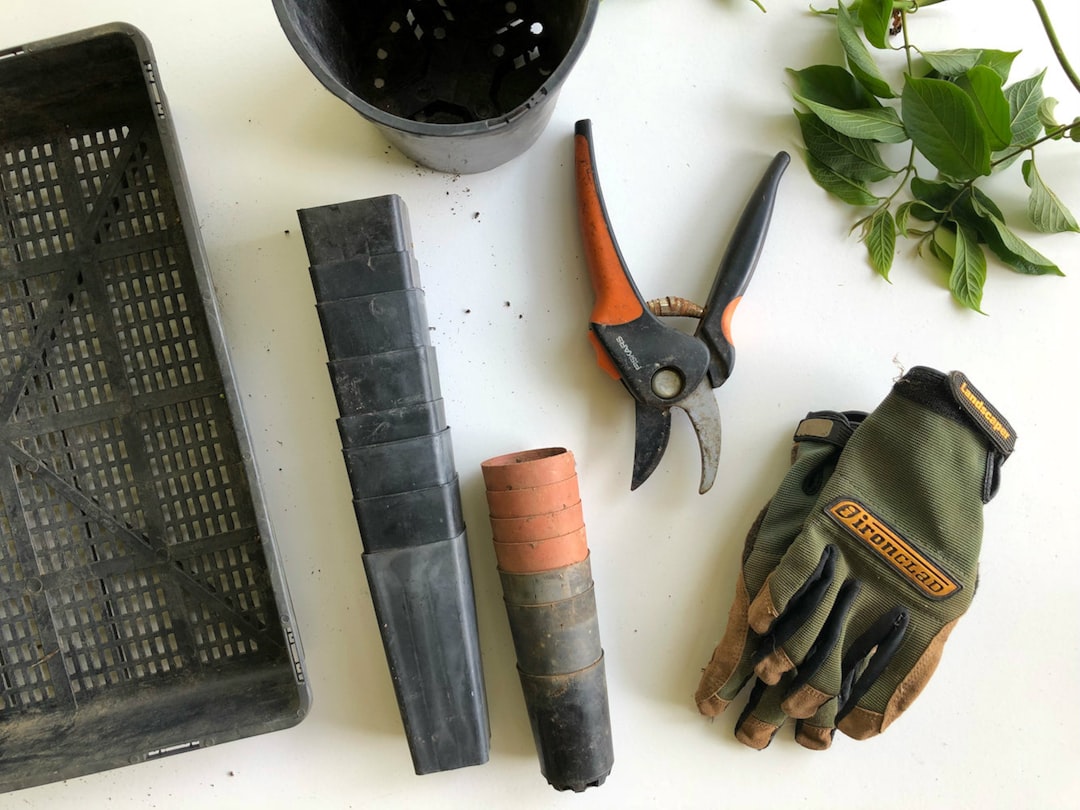 découvrez nos conseils et astuces de jardinage pour entretenir facilement votre jardin, cultiver vos plantes et créer un espace vert harmonieux chez vous.