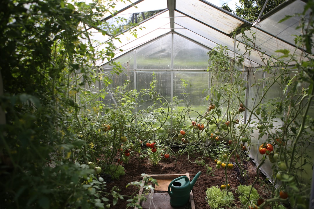 découvrez des conseils pratiques et astuces pour le jardinage, cultivez vos plantes avec succès et transformez votre espace extérieur en un véritable havre de paix.