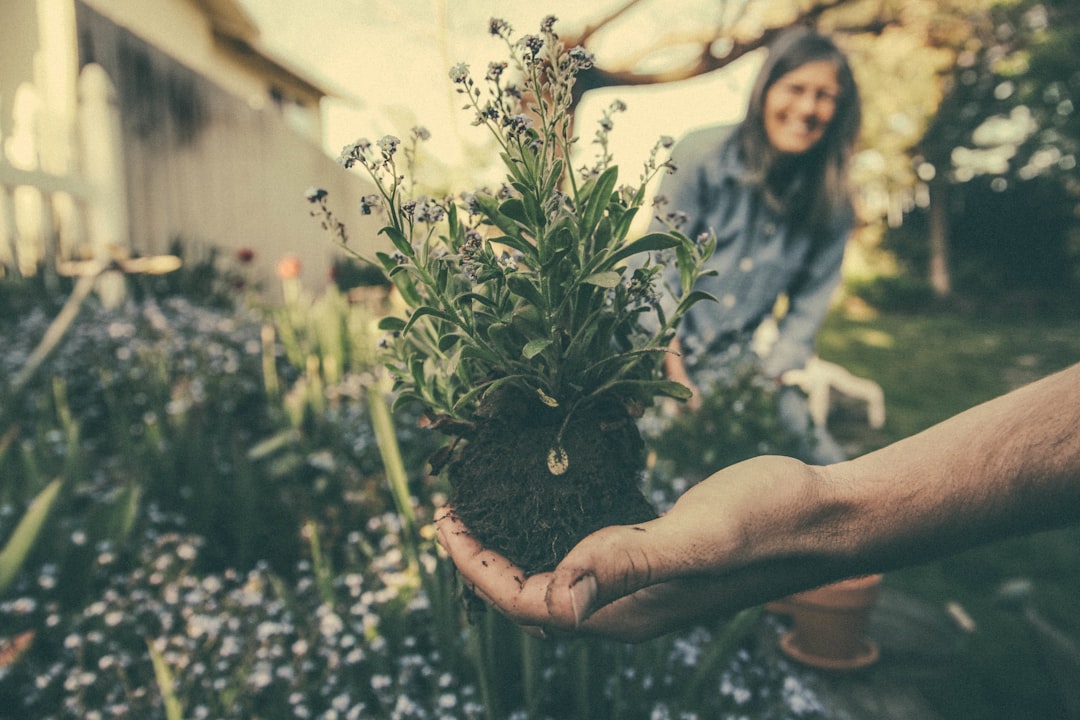 découvrez des conseils, astuces et guides pour réussir votre jardinage et embellir votre espace extérieur toute l'année.