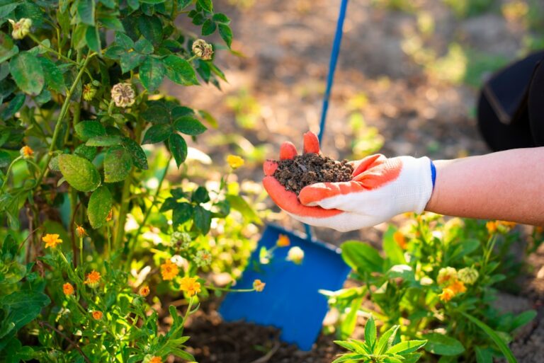 découvrez les bienfaits du jardinage pour la santé physique et mentale, ainsi que pour l'environnement. apprenez comment le jardinage peut améliorer votre bien-être au quotidien.