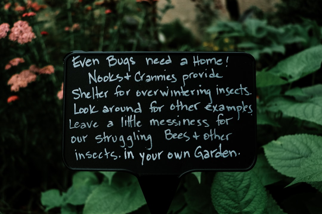 découvrez notre sélection de livres de jardinage pour tous les passionnés, des débutants aux experts, avec des conseils pratiques et des idées inspirantes.