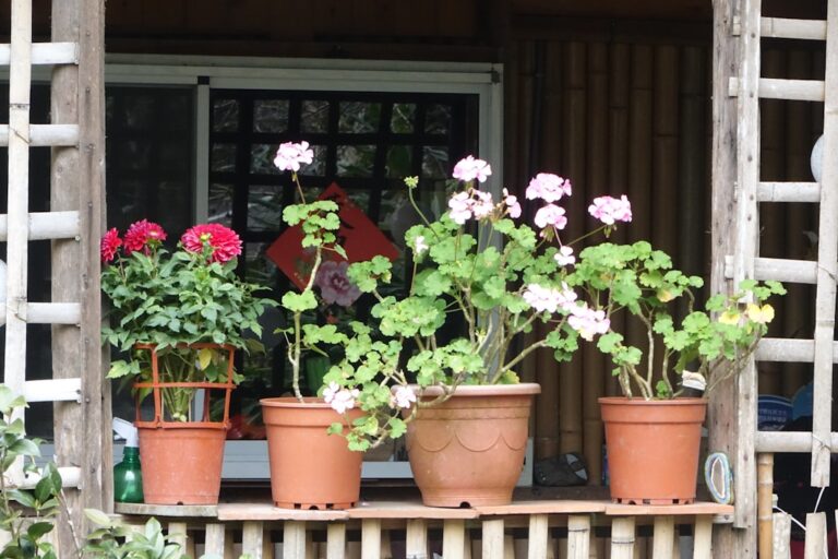 découvrez les classiques du jardinage : conseils, astuces et techniques pour un jardin magnifique toute l'année.