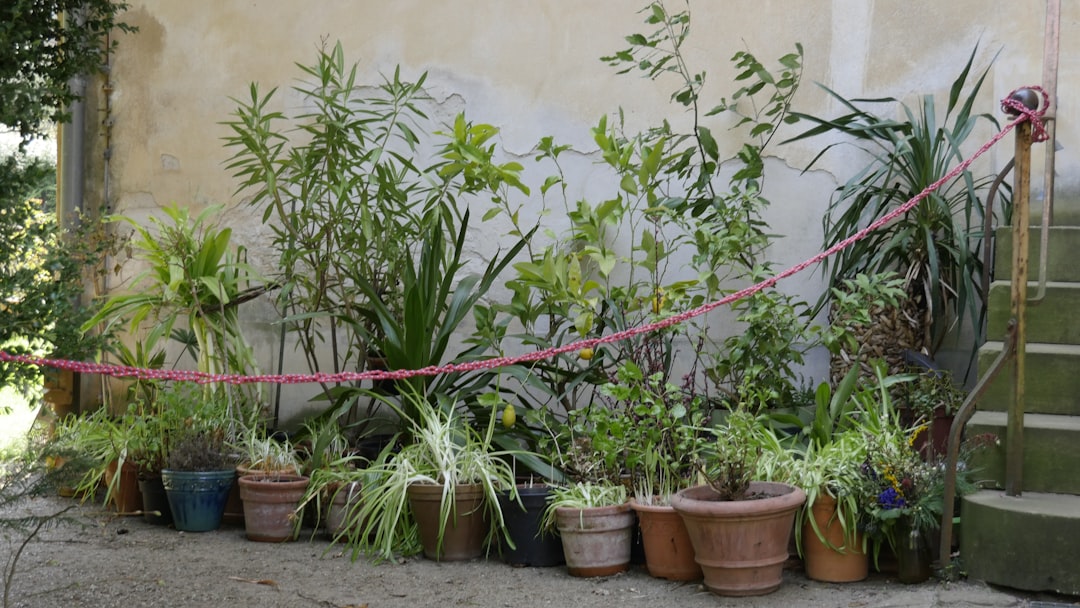 rejoignez notre événement du club de jardinage pour partager des astuces, échanger des plantes et profiter d'activités en plein air avec d'autres passionnés.