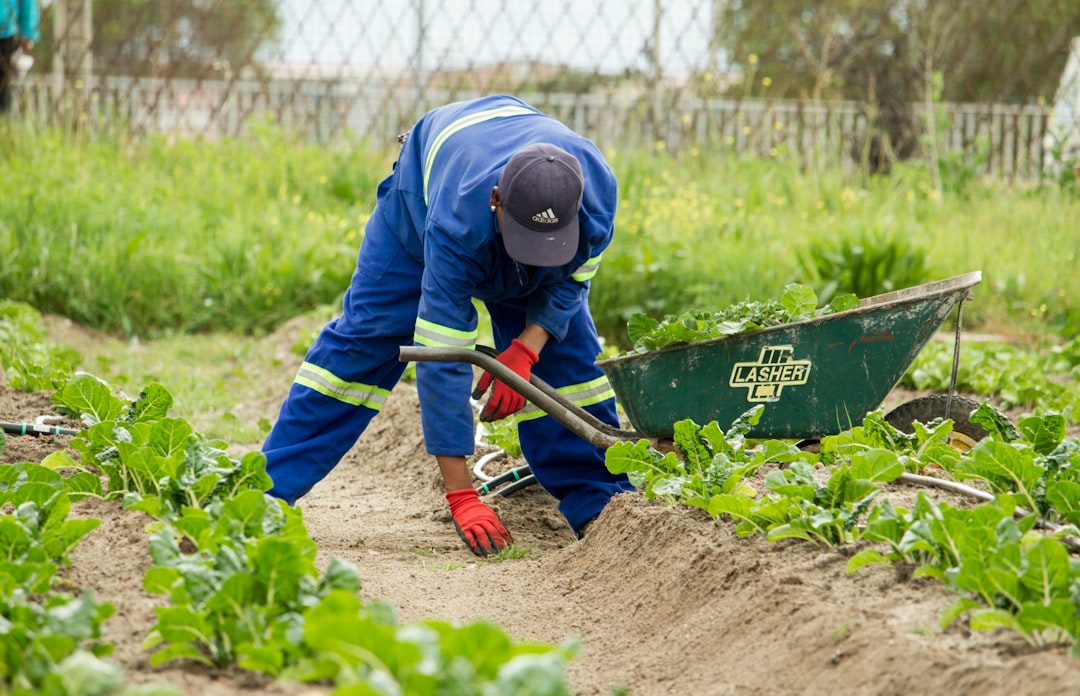 participez à notre compétition de jardinage et montrez vos talents en horticulture. découvrez des conseils, astuces et des idées pour créer le jardin parfait et remporter de nombreux prix.