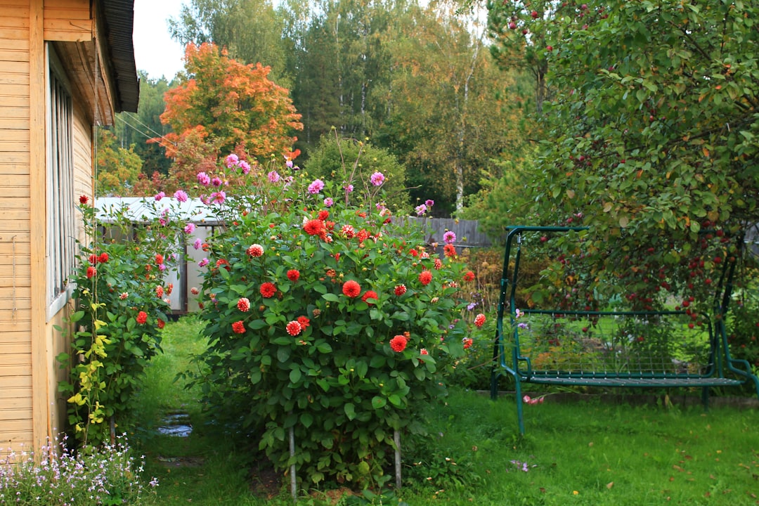 découvrez nos cours de jardinage pour apprendre à cultiver, entretenir vos plantes et créer un jardin florissant, adaptés à tous les niveaux.