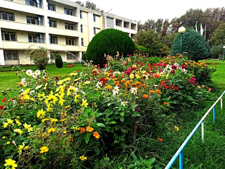 découvrez nos cours de jardinage pour tous niveaux et maîtrisez l'art du jardinage en apprenant techniques et astuces pratiques.