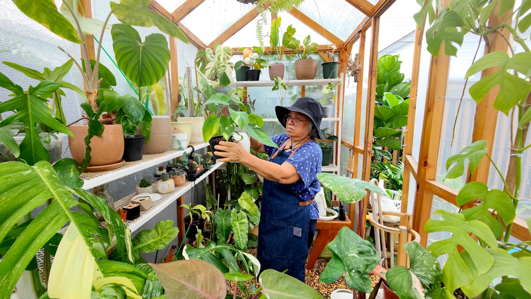 découvrez les conseils et astuces des experts en jardinage pour entretenir et embellir votre jardin toute l'année.