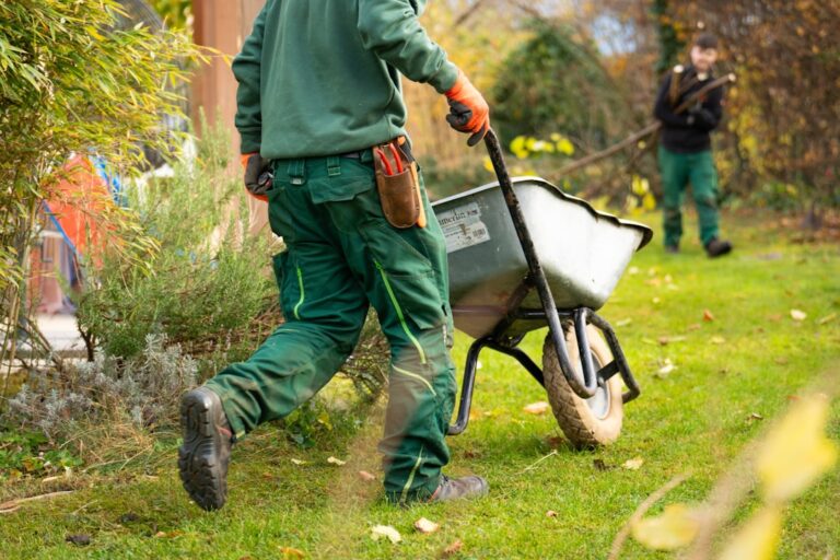 découvrez les conseils et astuces des experts en jardinage pour un jardin splendide toute l'année.
