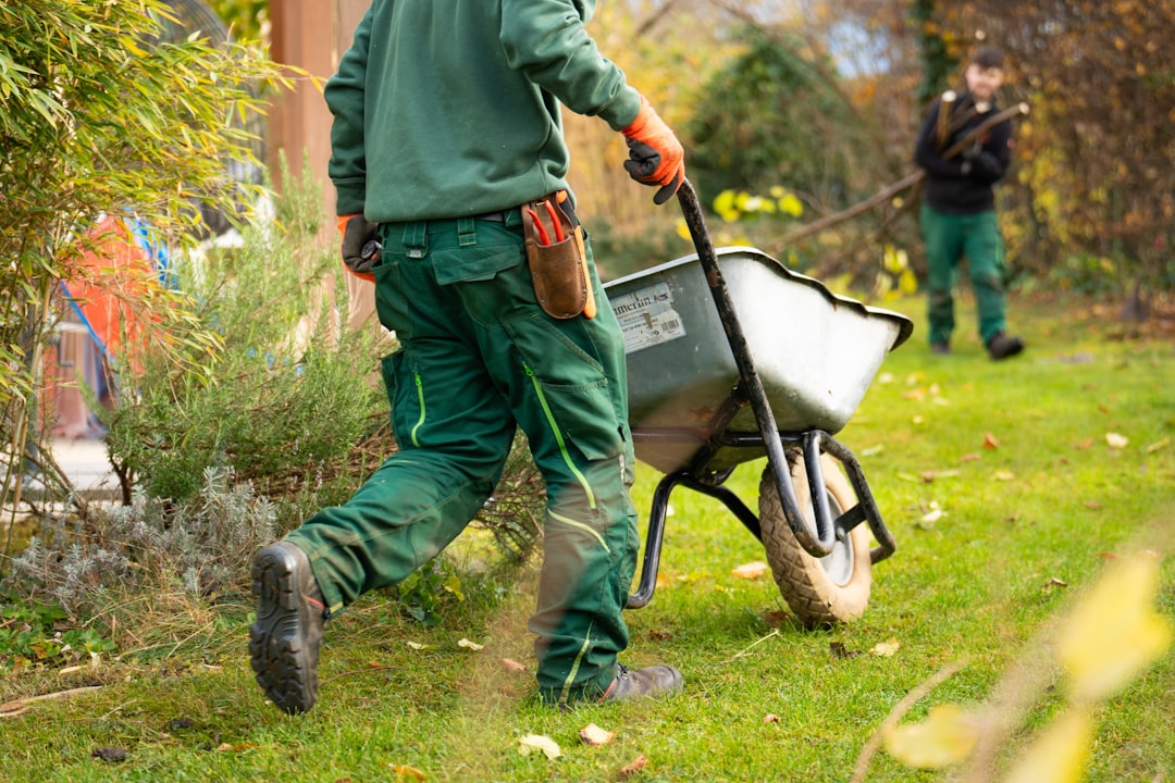 découvrez les conseils et astuces des experts en jardinage pour un jardin splendide toute l'année.
