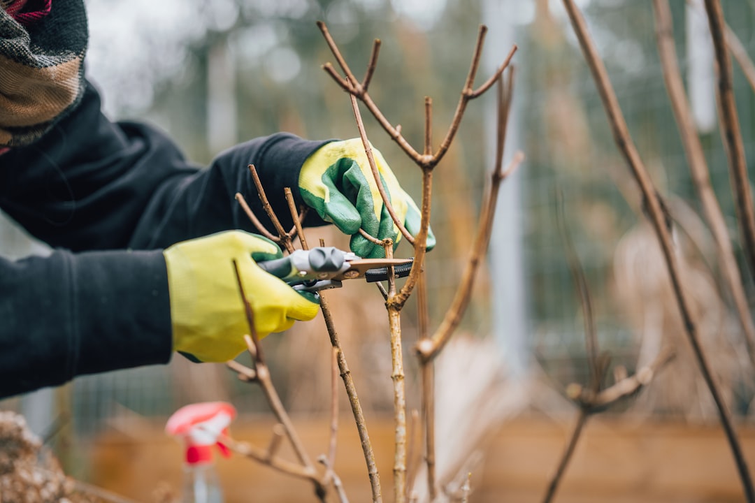 découvrez nos gants de jardinage, alliant confort et protection, idéaux pour tous vos travaux de jardin. profitez d'une prise en main optimale et d'une résistance accrue tout en préservant vos mains des salissures et des blessures. parfaits pour les jardiniers débutants comme expérimentés, ces gants sont un indispensable de votre équipement de jardin.