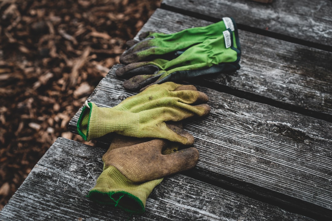 découvrez nos gants de jardinage alliant confort et protection, conçus pour vous accompagner dans toutes vos activités de jardinage. résistants et ergonomiques, ils assurent une adhérence optimale pour un travail en toute sécurité. transformez votre expérience de jardinage avec nos gants adaptés à tous les passionnés de nature.