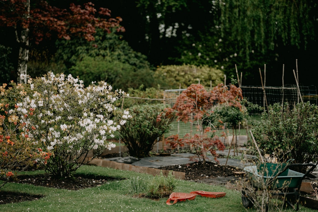 conseils et astuces pour jardiner en mai : préparer le sol, planter les fleurs et légumes de saison, et entretenir votre jardin pour une floraison réussie.