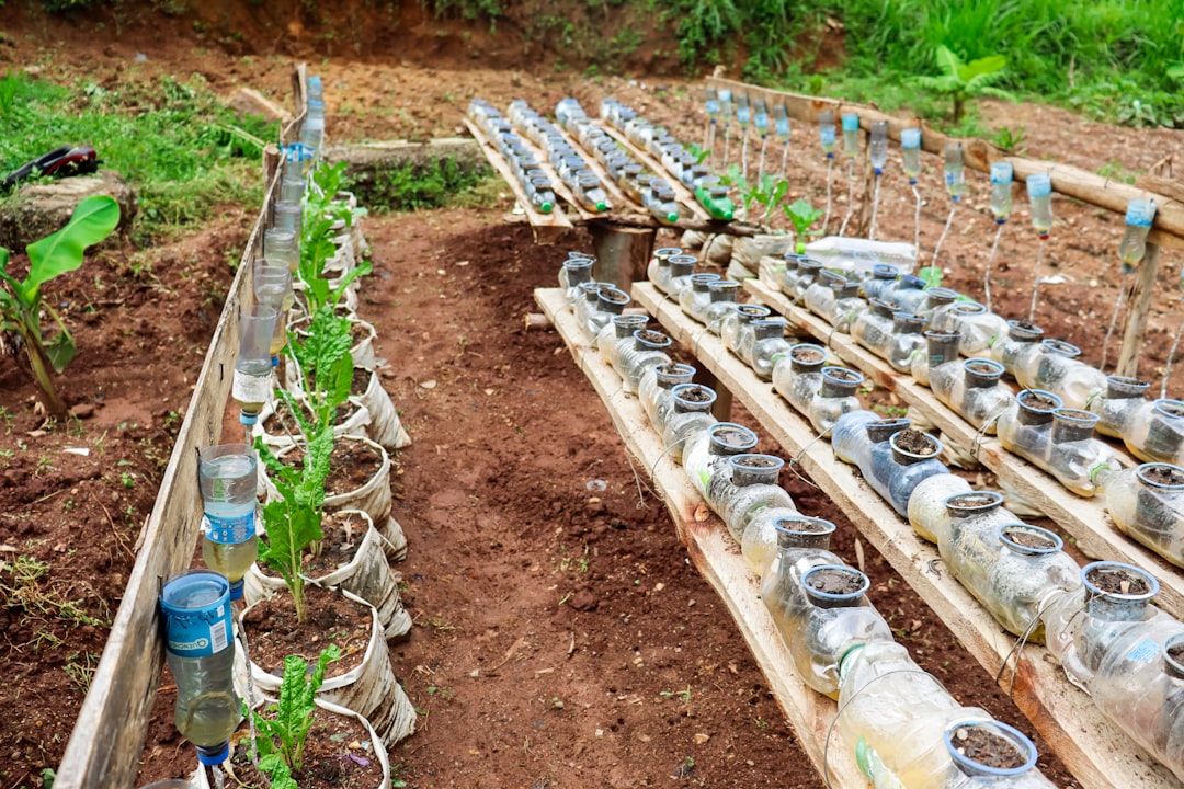 découvrez notre initiative de jardinage : des conseils, astuces et ressources pour cultiver votre jardin, encourager le développement durable et favoriser la biodiversité, que vous soyez débutant ou passionné !