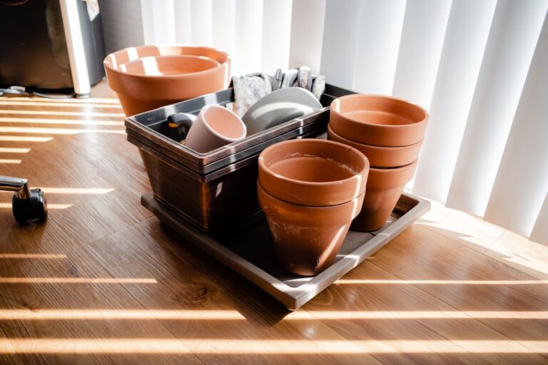 découvrez notre kit de jardinage complet, idéal pour les débutants et les experts, incluant tous les outils essentiels pour cultiver facilement vos plantes et fleurs préférées.