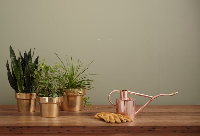 découvrez notre kit de jardinage complet, idéal pour débutants et passionnés. tout le nécessaire pour cultiver vos plantes facilement et avec plaisir.