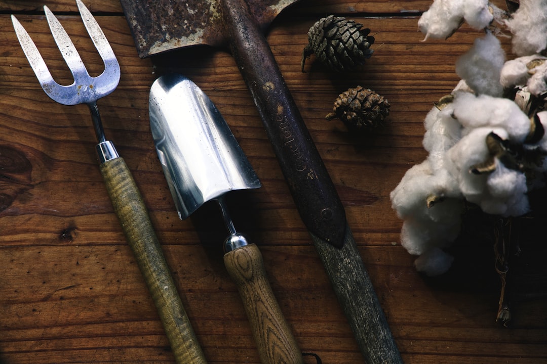 découvrez notre kit de jardinage complet, idéal pour débutants et passionnés, avec tous les outils essentiels pour cultiver vos plantes et fleurs facilement.