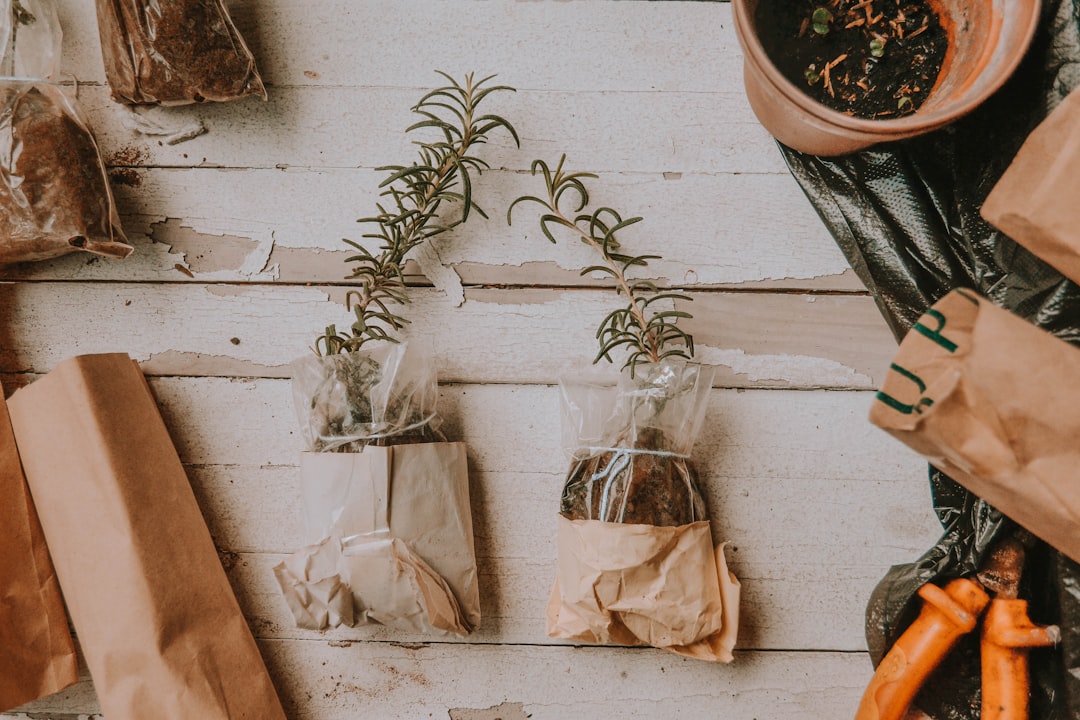 découvrez notre kit de jardinage complet, idéal pour les débutants comme pour les experts, avec tous les outils essentiels pour cultiver vos plantes facilement et avec plaisir.