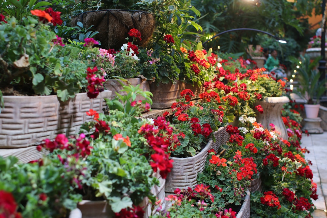 découvrez nos résolutions de jardinage pour une année florissante : conseils pratiques, astuces écologiques et idées inspirantes pour entretenir votre jardin avec passion.