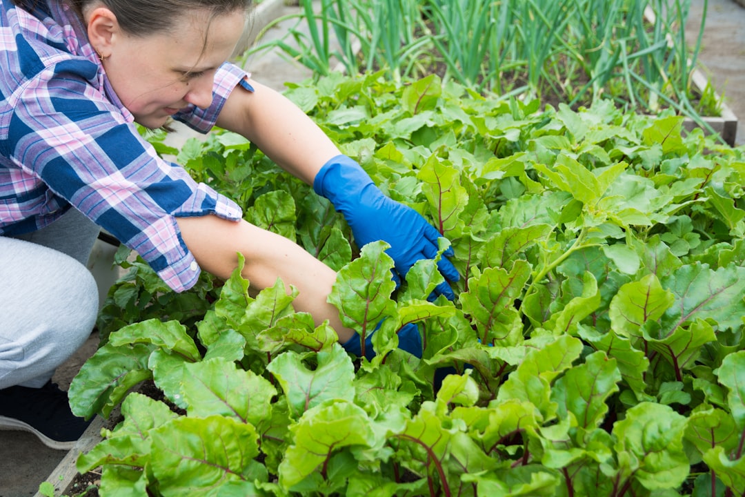 découvrez nos conseils essentiels pour assurer votre sécurité lors du jardinage et profiter pleinement de cette activité en toute sérénité.