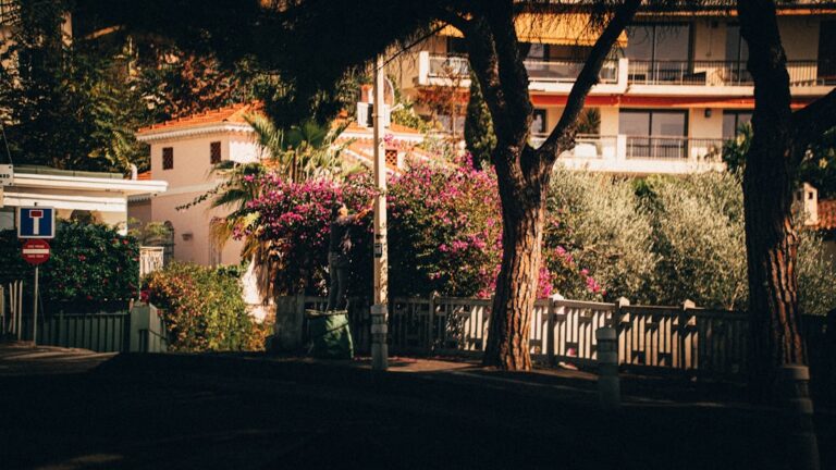 découvrez nos conseils et idées pour aménager vos espaces de jardinage, que ce soit en petit balcon, terrasse ou grand jardin, et cultivez vos plantes avec plaisir.