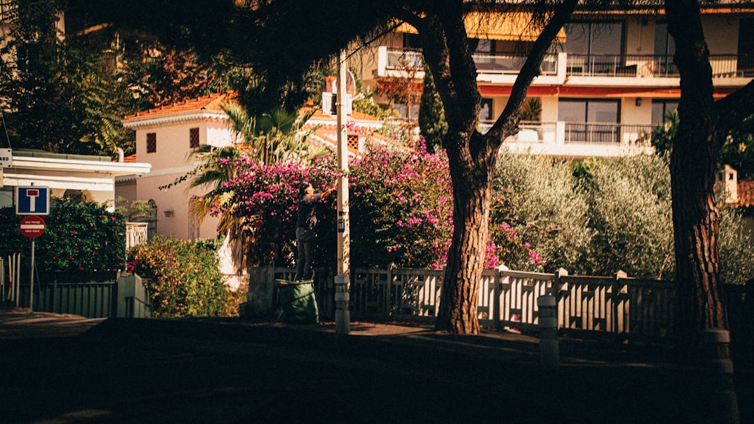découvrez des idées et conseils pour aménager des espaces de jardinage adaptés à tous les extérieurs, afin de créer un coin de verdure harmonieux, agréable et facile à entretenir.