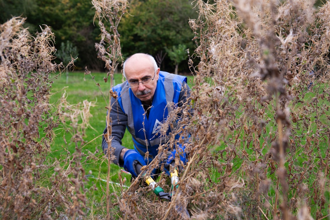 découvrez nos conseils pratiques pour accomplir efficacement vos tâches de jardinage et embellir votre espace extérieur toute l'année.