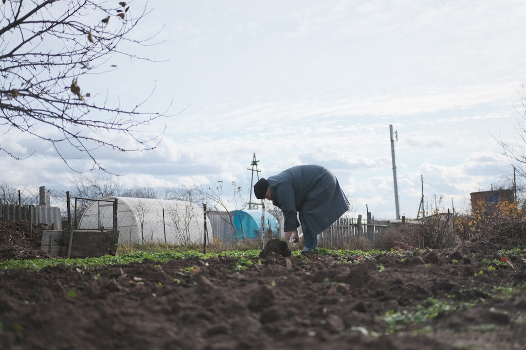 formation en jardinage : apprenez les techniques essentielles pour cultiver un jardin florissant, de l'entretien des plantes à la gestion du sol.