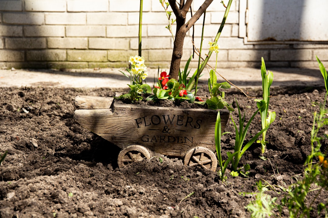 découvrez les dernières tendances en jardinage pour embellir votre espace extérieur avec des idées innovantes et des astuces pratiques.
