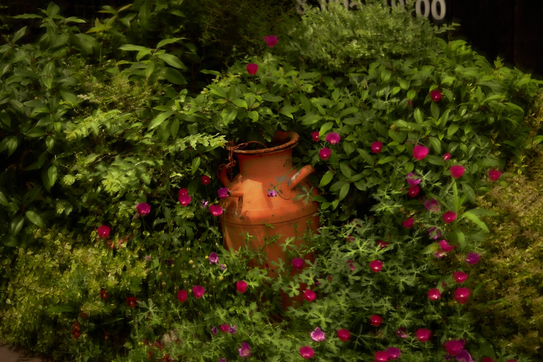 découvrez les tendances du jardinage en 2026 : innovations, techniques écoresponsables et idées pour un jardin futuriste et durable.