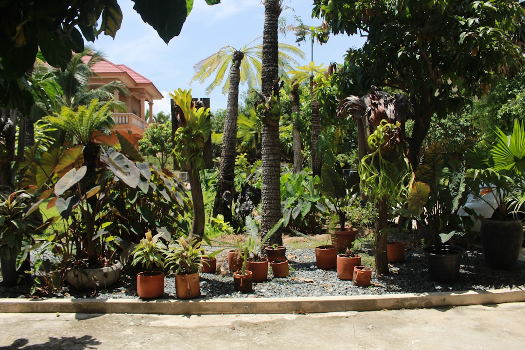 participez à notre atelier de jardinage pour apprendre des techniques pratiques et améliorer vos compétences en horticulture, quel que soit votre niveau.