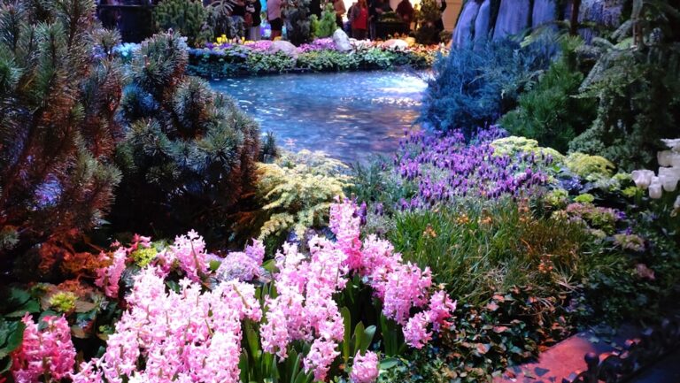 participez à nos ateliers de jardinage au nevada pour apprendre des techniques pratiques et améliorer vos compétences en horticulture dans un cadre convivial.