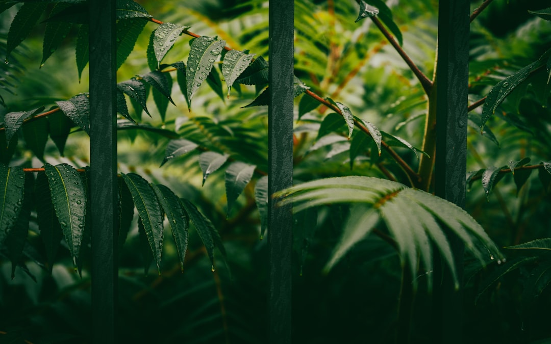 découvrez notre programme de jardinage complet pour apprendre à cultiver vos plantes, entretenir votre jardin et créer un espace vert harmonieux toute l'année.