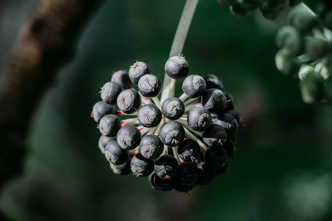 explorez nos magnifiques jardins, un havre de paix où la nature s'épanouit pour votre plus grand plaisir.