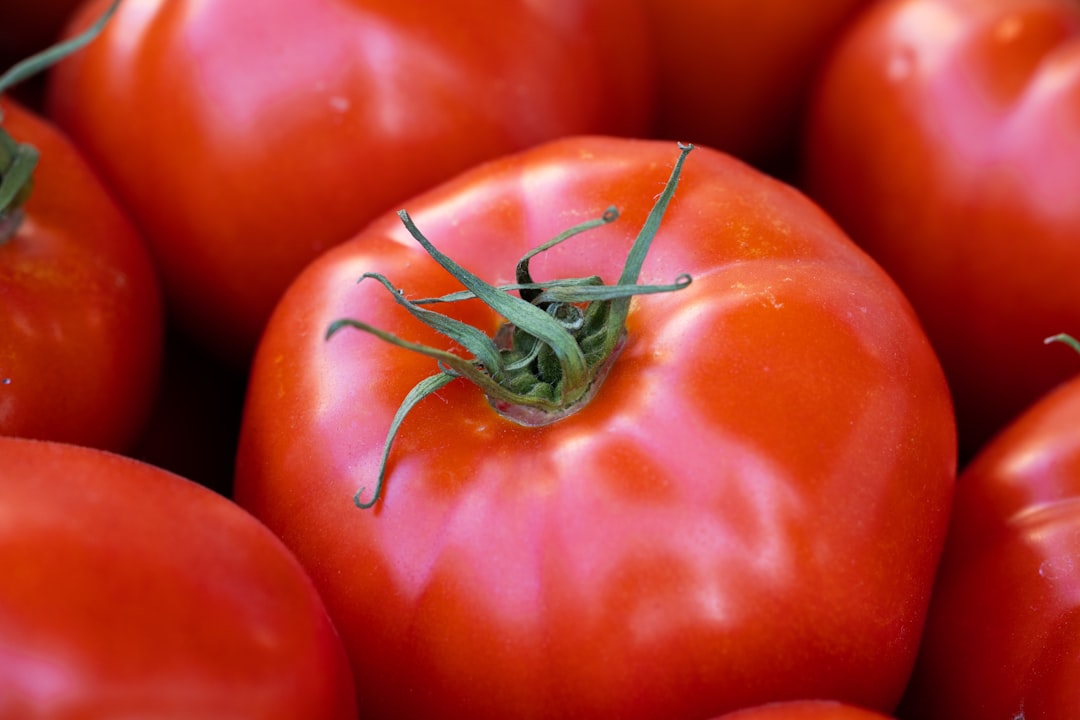 découvrez comment cultiver des tomates géantes dans votre jardin avec nos conseils pratiques et astuces pour obtenir de gros fruits savoureux et juteux.