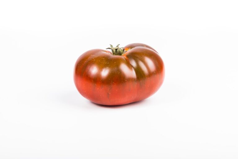 découvrez comment cultiver de gigantesques tomates dans votre jardin grâce à nos conseils pratiques et astuces efficaces.
