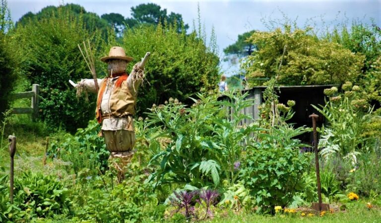 découvrez le guerrilla gardening, un mouvement de jardinage urbain engagé qui transforme les espaces publics abandonnés en véritables oasis de verdure.