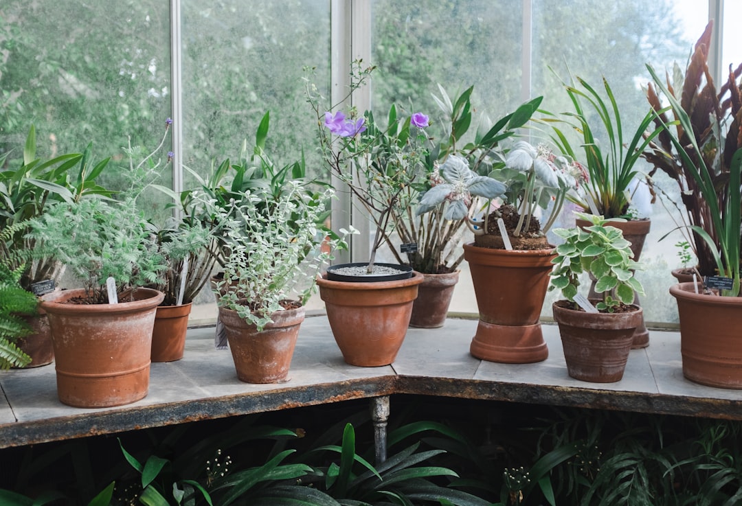 protégez vos plantes de la chaleur excessive grâce à des solutions efficaces de protection thermique adaptées à tous les types de végétation.