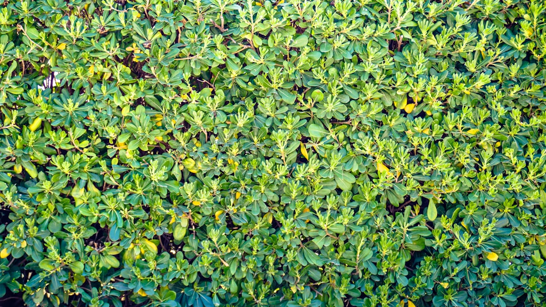 découvrez comment gérer et prévenir la toxicité dans les hedge funds pour assurer un environnement de travail sain et performant.