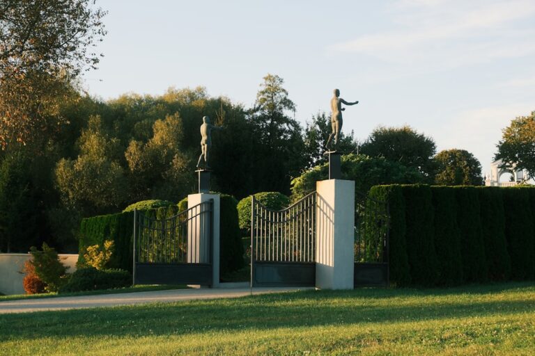 découvrez nos services professionnels de taille de haies pour un jardin bien entretenu et harmonieux. taille précise et soignée pour préserver la santé de vos arbustes.
