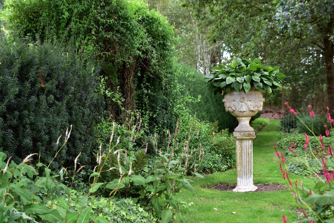 service professionnel de taille de haies pour un jardin soigné et esthétique. entretenez vos arbustes avec précision et expertise.