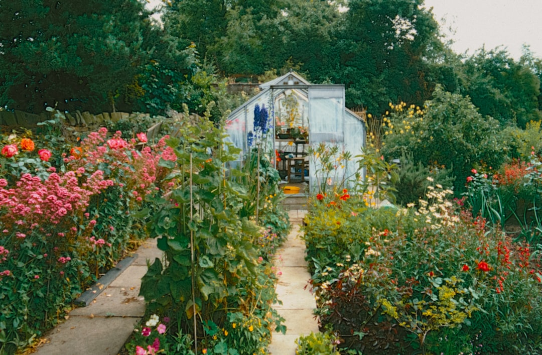 participez à notre concours de jardinage à domicile et montrez vos talents de jardinier. gagnez des prix en cultivant le plus beau jardin chez vous !