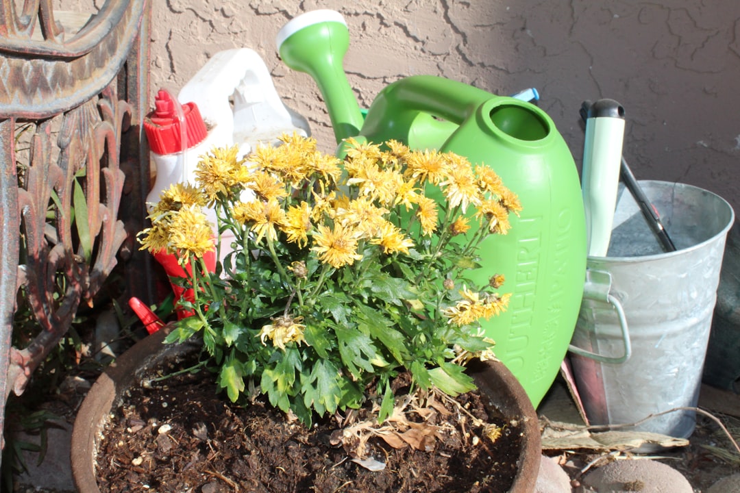 découvrez comment créer un engrais fait maison naturel et efficace pour nourrir vos plantes et améliorer la santé de votre jardin.