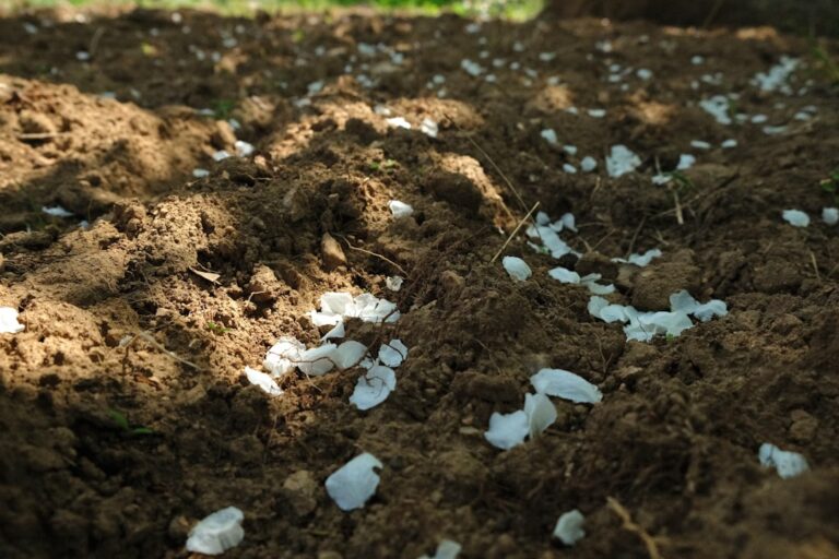 découvrez comment fabriquer un engrais naturel fait maison pour nourrir vos plantes efficacement et écologiquement.