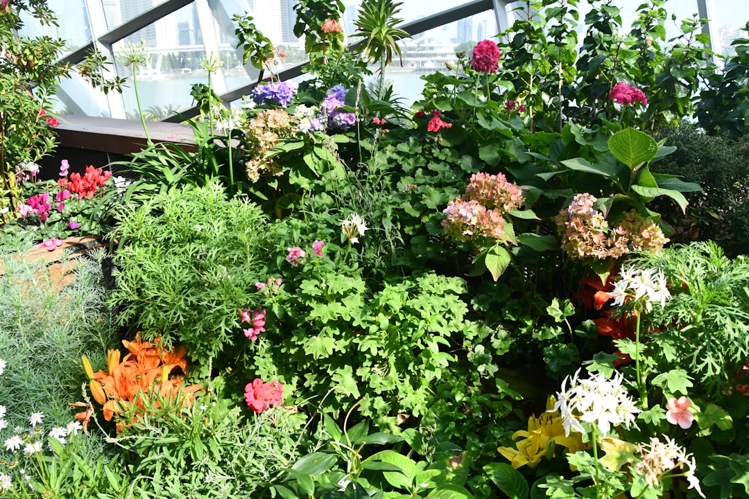 découvrez les techniques innovantes du jardinage hydroponique pour cultiver vos plantes sans sol, avec un rendement optimal et un entretien facilité.