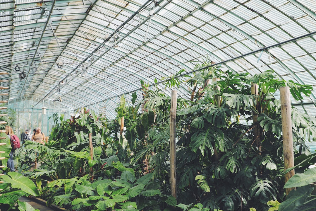 découvrez l'hydroponie, une méthode innovante de culture sans sol qui utilise des solutions nutritives pour favoriser la croissance des plantes. apprenez les techniques, les avantages et les applications de cette pratique durable pour un jardinage efficace et respectueux de l'environnement.