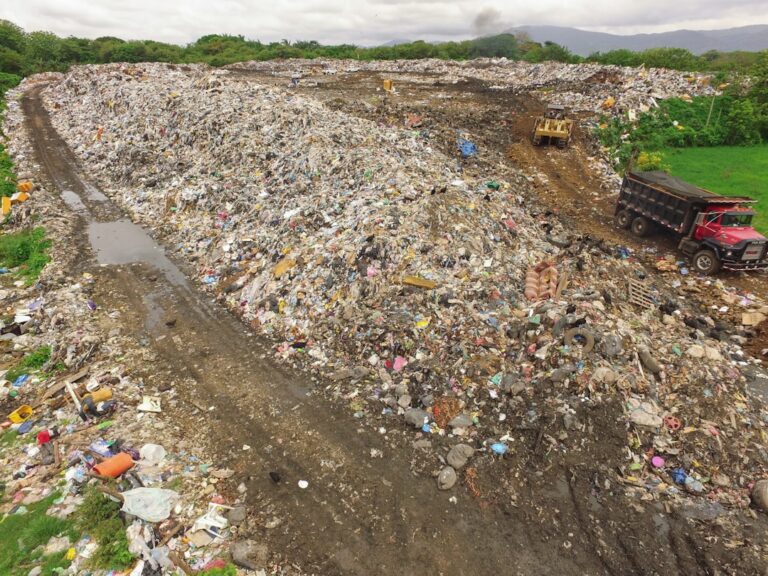 découvrez les dangers et les conséquences du dépôt illégal de déchets verts, ainsi que les solutions pour lutter contre cette pratique nuisible à l'environnement.