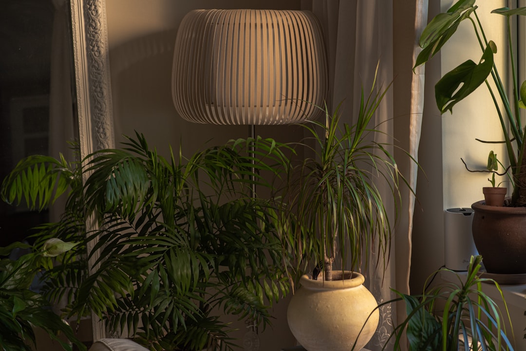 découvrez l'univers luxuriant de l'indoor jungle : créez votre oasis verte intérieure avec des plantes tropicales, conseils d'entretien et inspirations déco pour un espace naturel et apaisant.