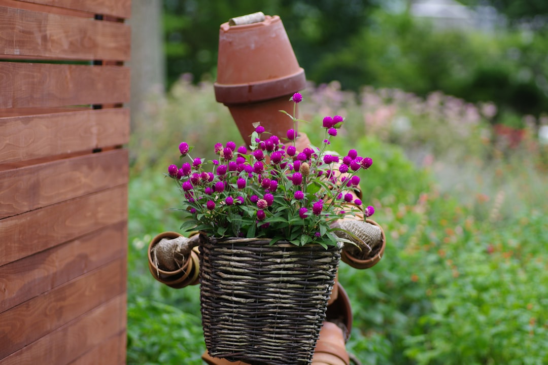 découvrez notre produit de jardinage innovant qui révolutionne l'entretien de votre jardin avec efficacité et simplicité. transformez votre espace vert dès aujourd'hui !