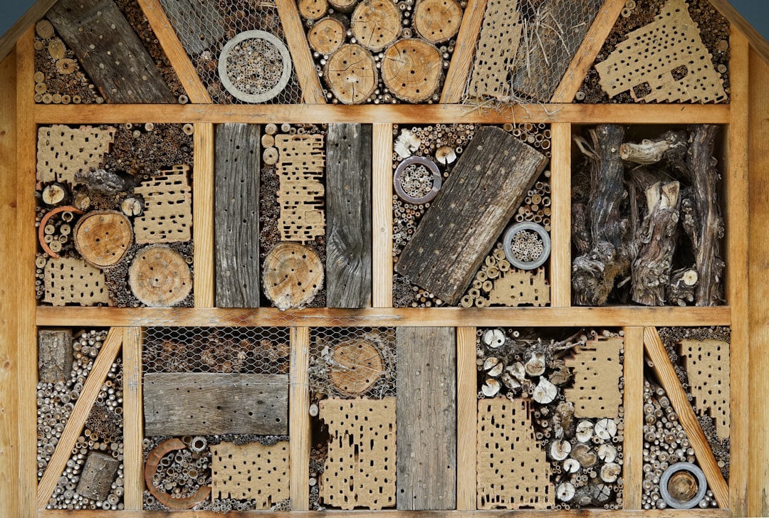découvrez notre sanctuaire des insectes, un refuge dédié à la protection et à l'observation des insectes dans leur habitat naturel.